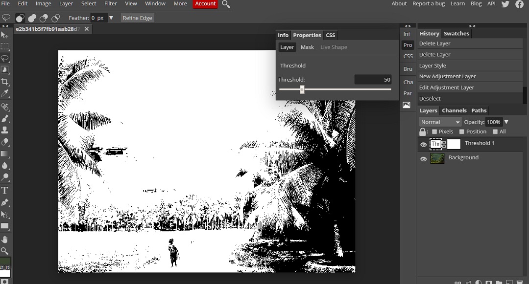 Black White Layer Adjustment